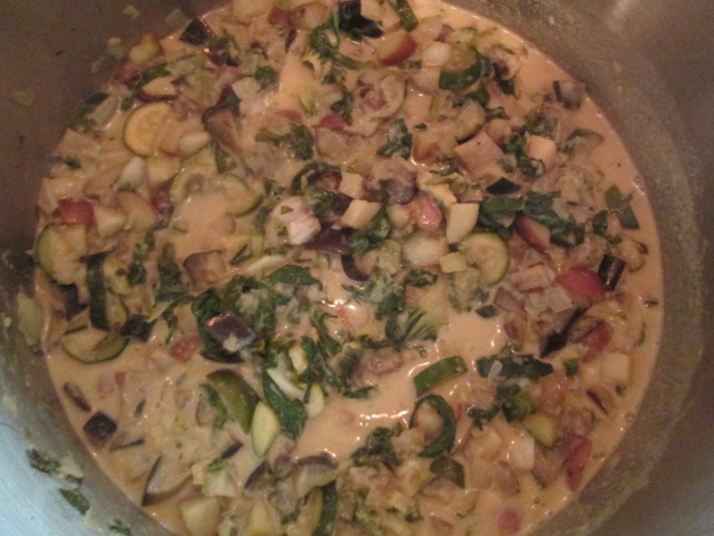 14 02 03 - Eggplant and Potato Green Curry 