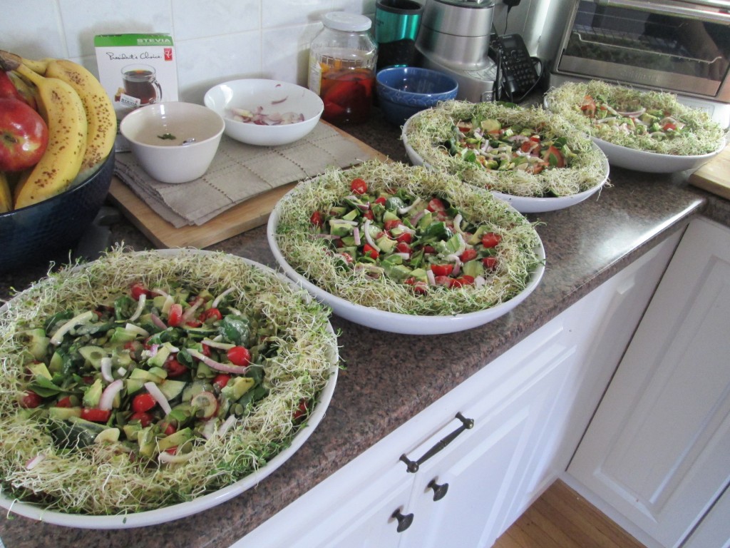 14 02 04 - Lunch Salad with sprouts, arugula, spinach, cucumber, tomato, avocado, red onion, pumpkin seeds  and creamy basil dressing on counter1