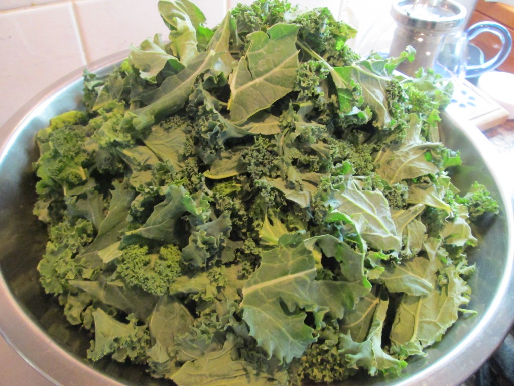 Massaged Kale Salad Recipe - 1 kale torn