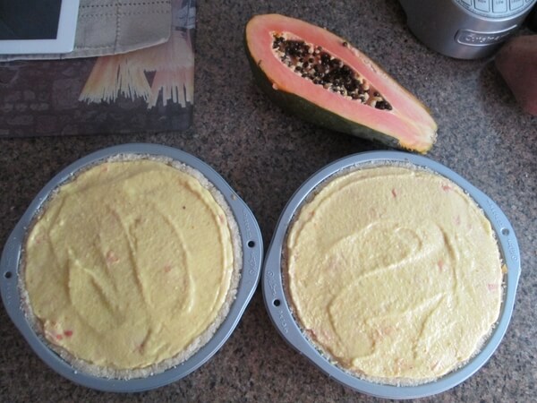 Not Just Any Raw Papaya Pie Recipe Robins Keyrobins Key