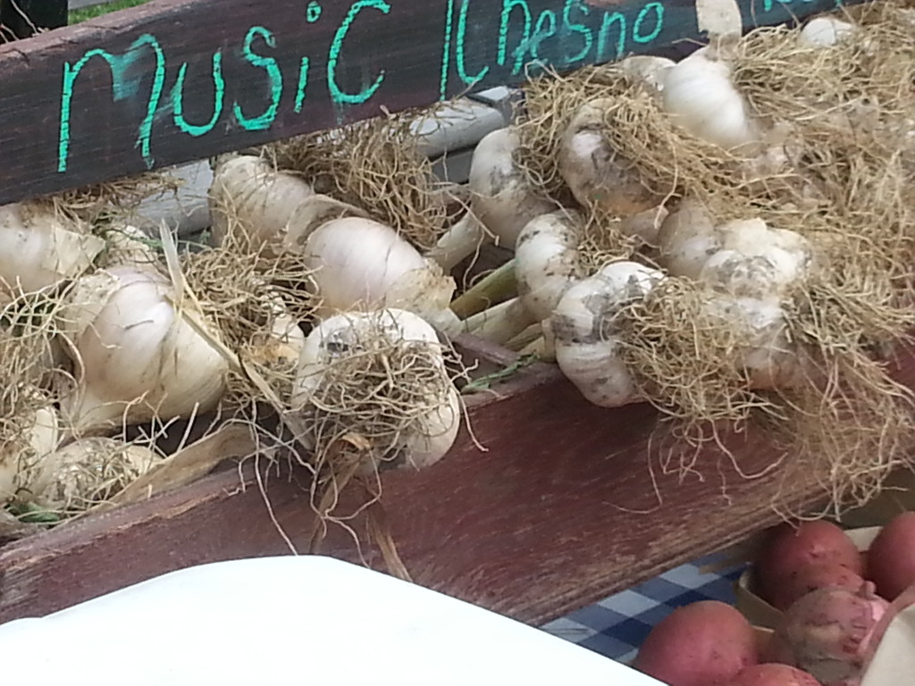 Local food and carrot fennel rosemary soup recipe