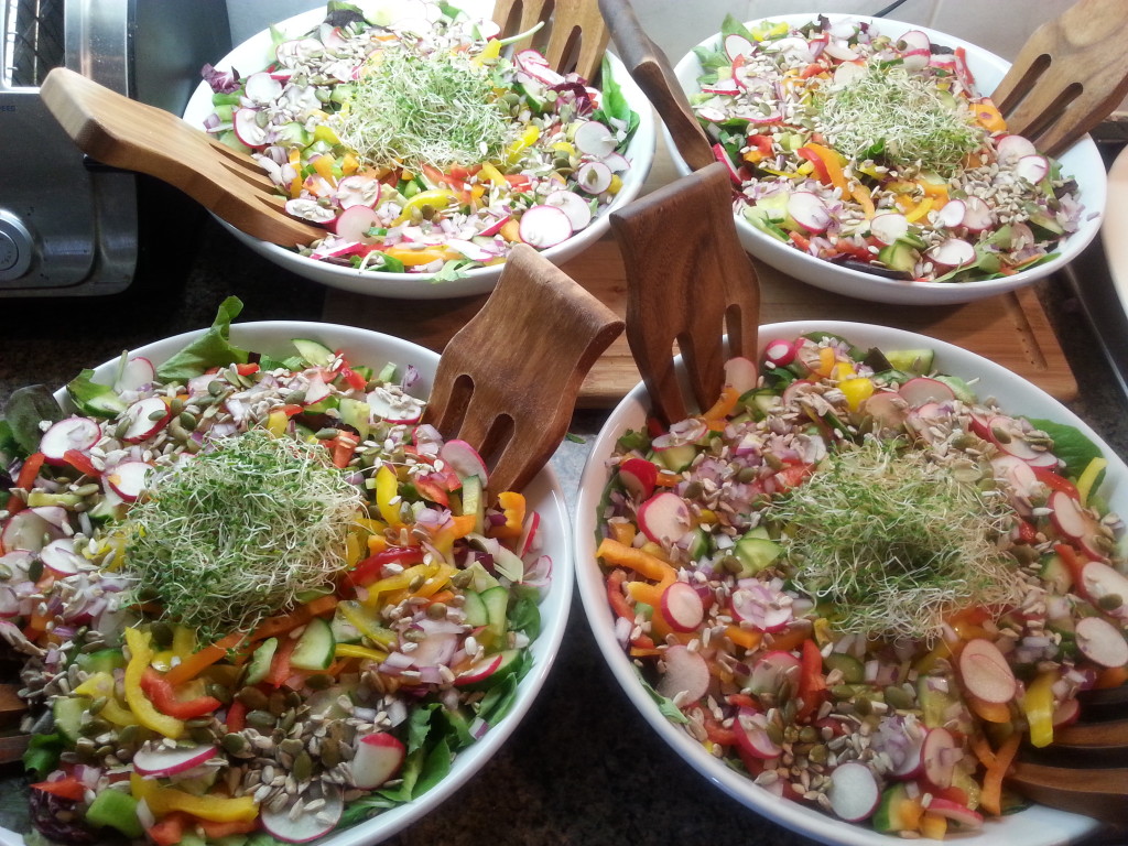 Beautiful salads fromt he Padmani Yoga retreat