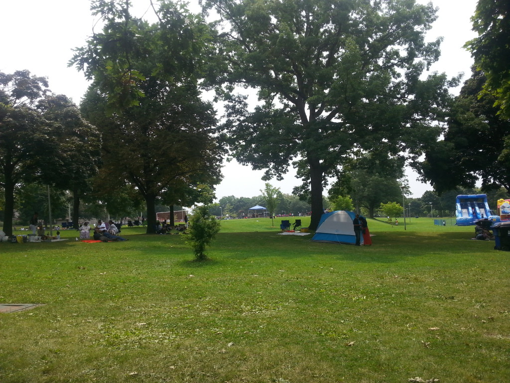 Earlescourt park and community garden project 3