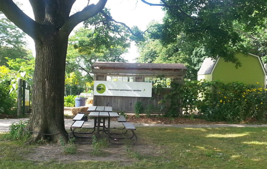 Earlescourt park and community garden project 5