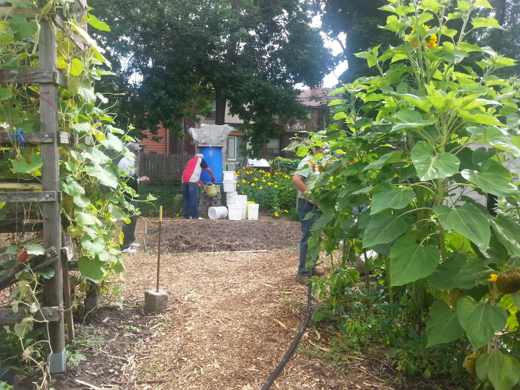 Earlescourt park and community garden project 9