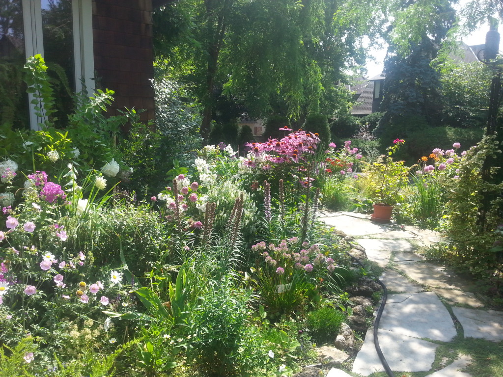 Garden Walk and Minestrone Verde Soup Recipe 2